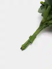 Лесной зеленый тычинки сахарные для цветов
