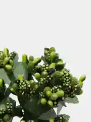 Лесной зеленый тычинки сахарные для цветов