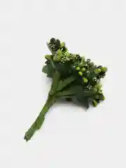 Лесной зеленый тычинки сахарные для цветов