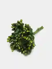 Лесной зеленый тычинки сахарные для цветов
