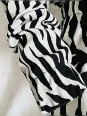 Джемпер