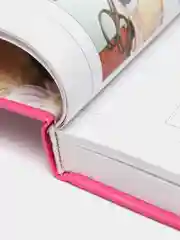 Книга "Большая энциклопедия декупажа", самоучитель