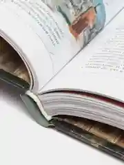 Энциклопедия "100 величайших загадок истории"