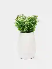 Конфетный букет искусственной зелени