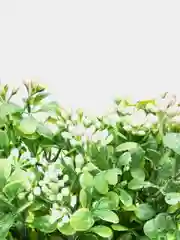 Конфетный букет искусственной зелени