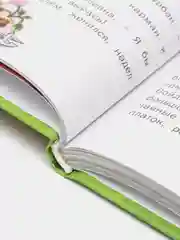 Книга Лучшие сказки. Ханс Кристиан Андерсен. Сборник сказок