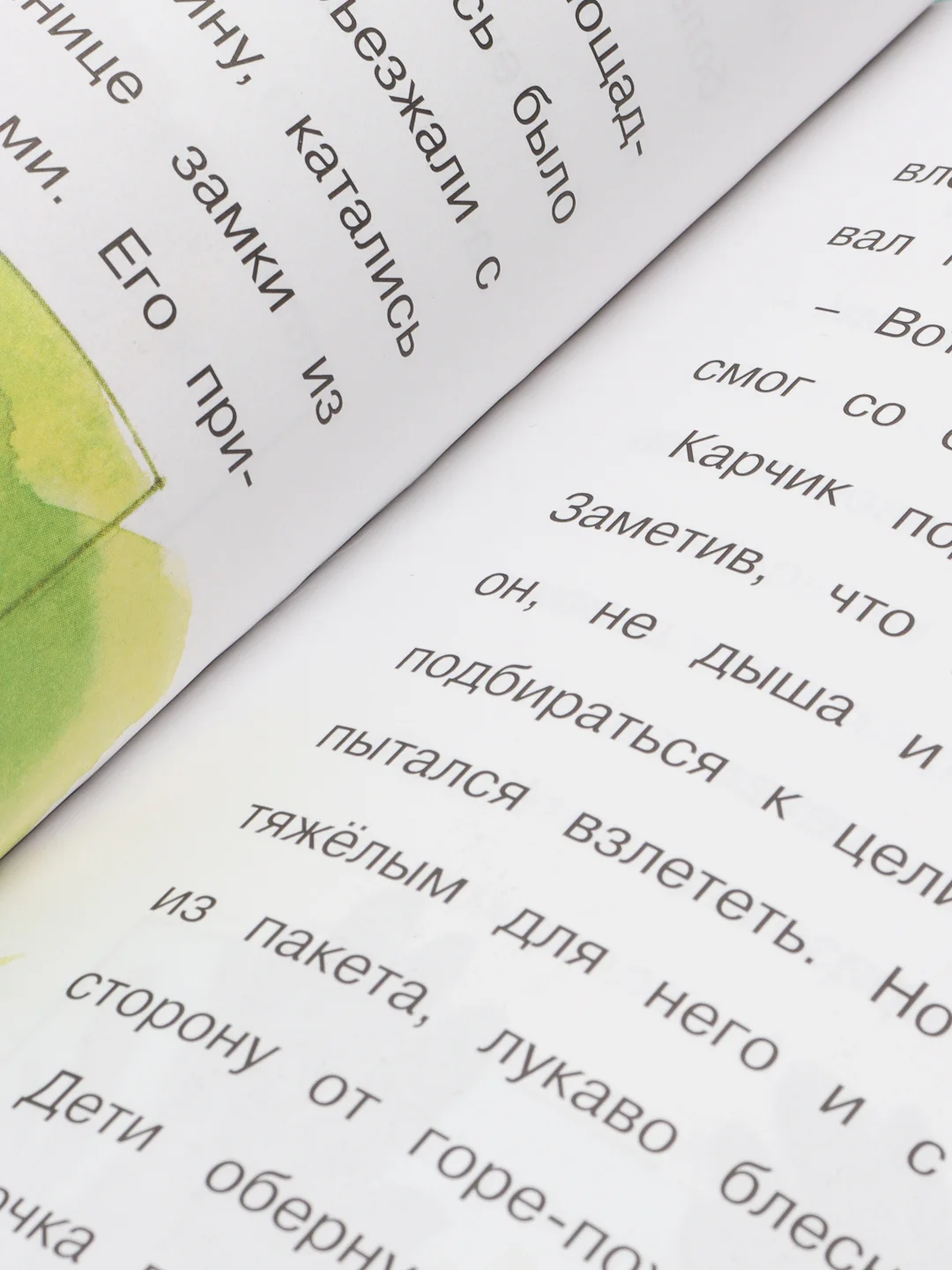 Детская книга "Приключения Карчика и его друзей", И. Боровская и С. Боровский