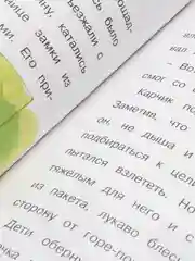 Детская книга "Приключения Карчика и его друзей", И. Боровская и С. Боровский