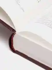 Книга "Латинско-русский словообразовательный словарь"