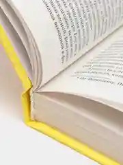Книга "Невиновный", Джон Гришэм
