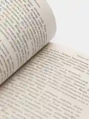 Тайные виды на гору Фудзи, Виктор Пелевин