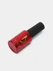 Коралловый базы и топы