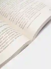 Книга Энн Жирар "Мадам Пикассо" серия хиты зарубежной прозы
