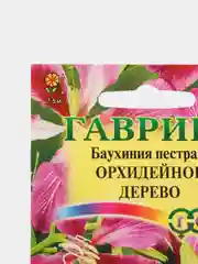 Баухиния "Орхидейное дерево" семена цветов