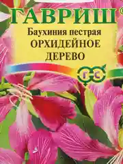 Баухиния "Орхидейное дерево" семена цветов