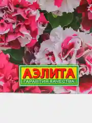 Петуния Букле (семена,цветы)
