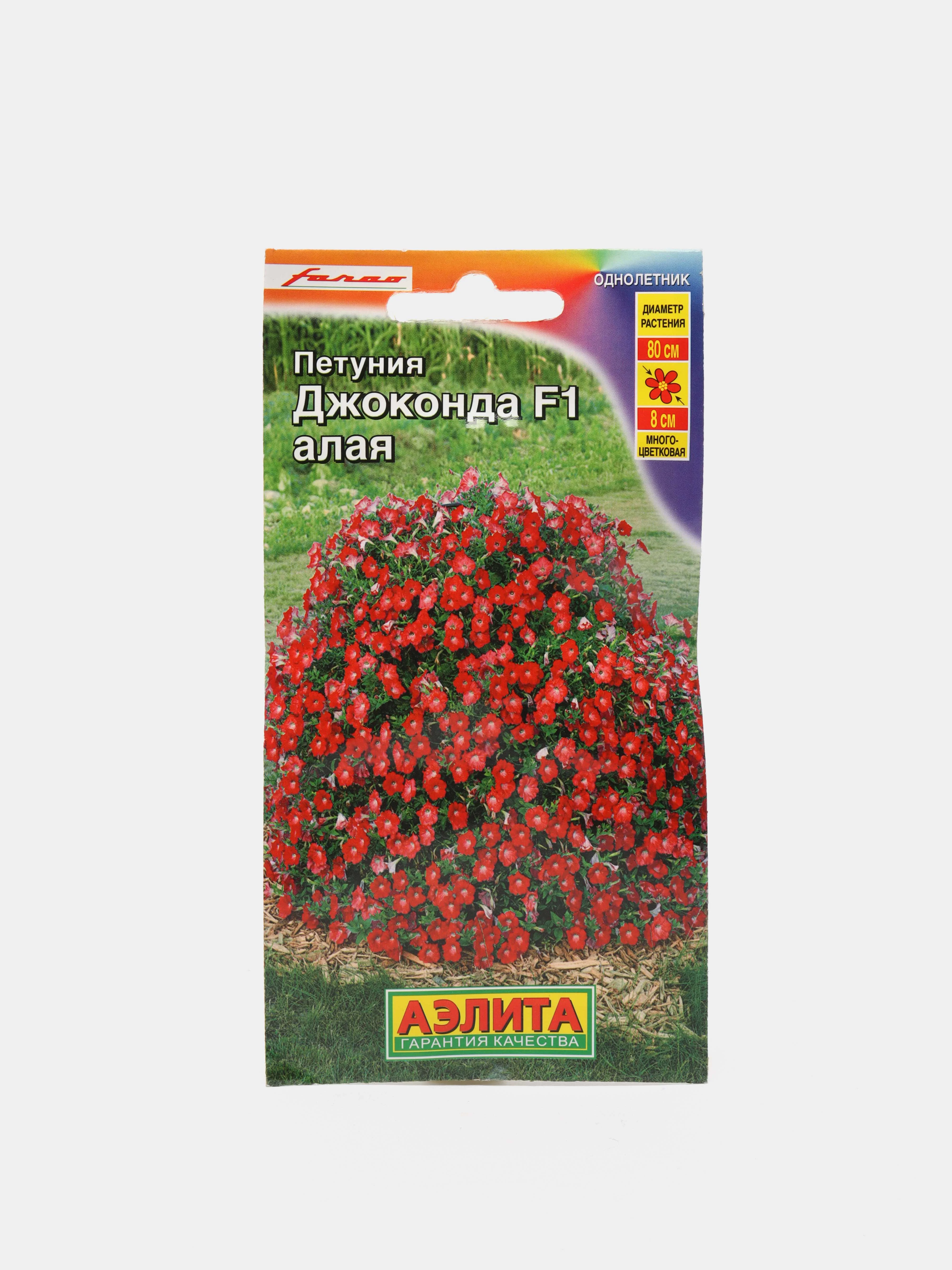 Купить Семена Алый Сахар