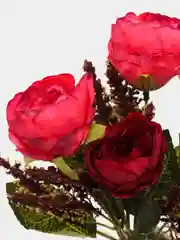 Тёмно-бордовый искусственные цветы пионы "Марципан"