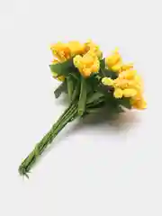 Лимонный тычинки с сахарными вставками 12 шт