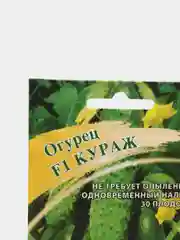 Огурец Кураж