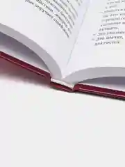 Книга "Истории из жизни сподвижниц"