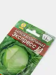 Семена "Капуста Экспресс"