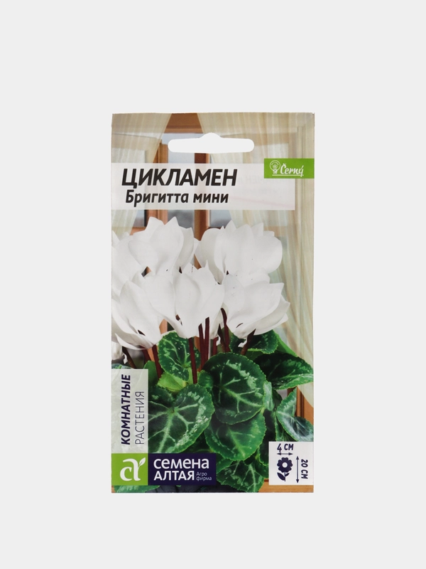 Семена цветов Цикламен "Бригитта мини"