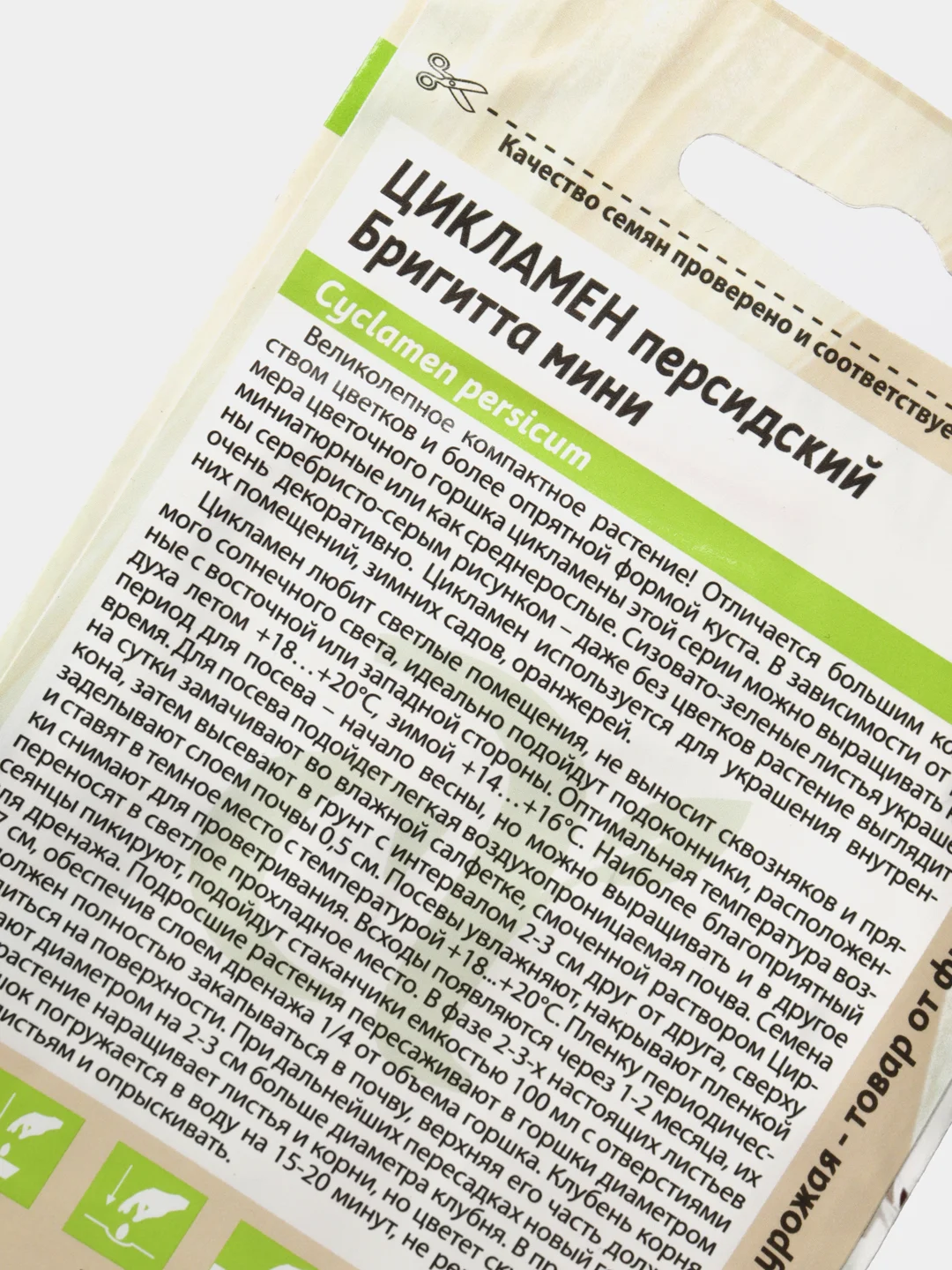 Семена цветов Цикламен "Бригитта мини"