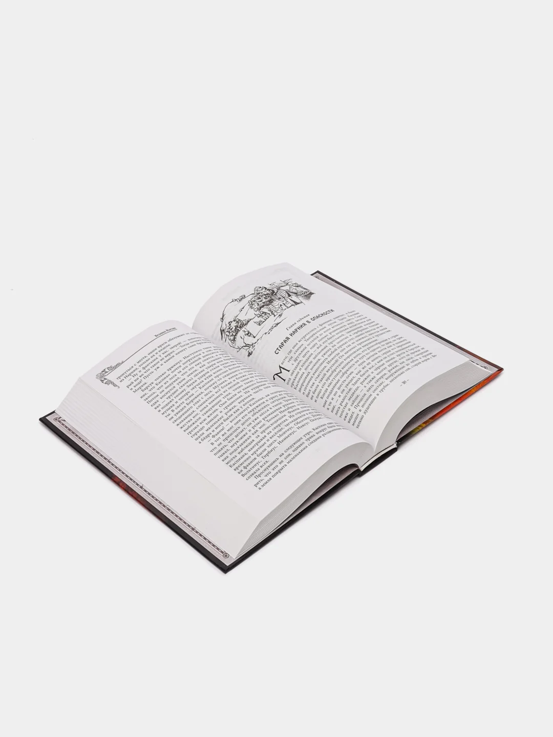 Хроники Нарнии (ил. П. Бейнс), Клайв Льюис