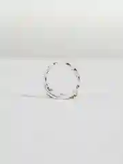 Кольцо с цепью