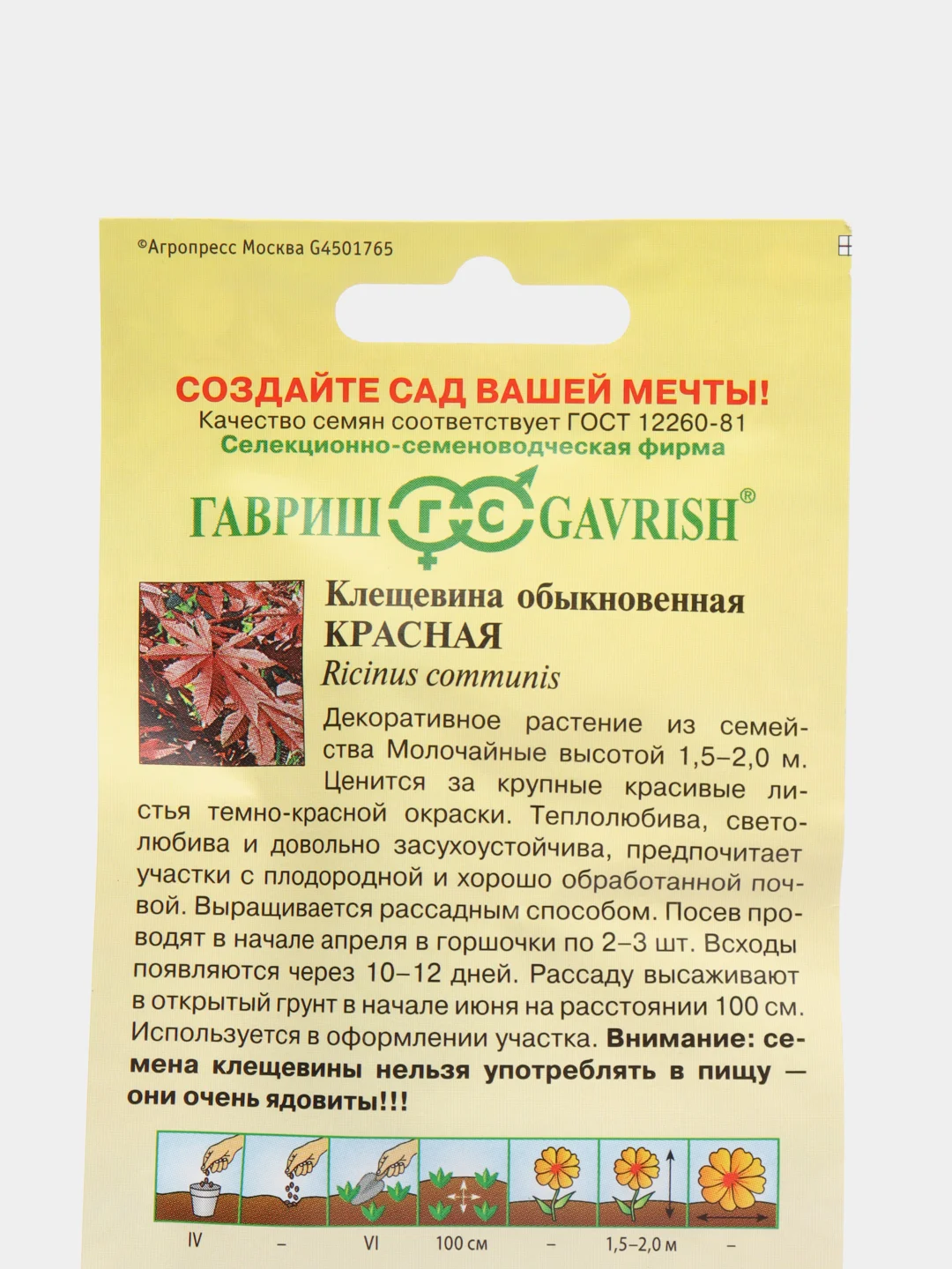 Клещевина Красная (семена,цветы)