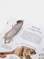 Белый первая энциклопедия