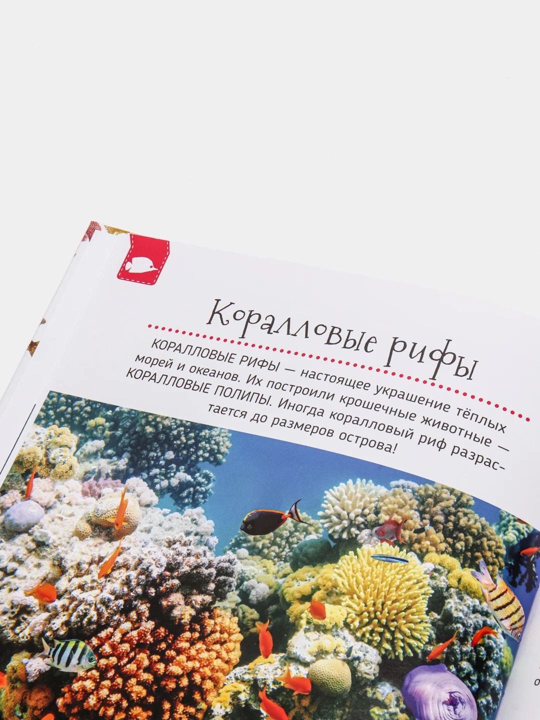 Зеленый первая энциклопедия