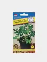 Семена "Арахис"