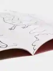Раскраска "Динозавры"