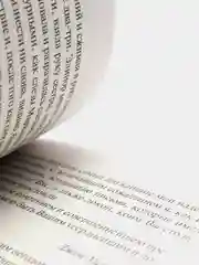 Чувство и чувствительность, Джейн Остен