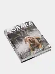 Собака. Полное руководство по дрессировке и уходу