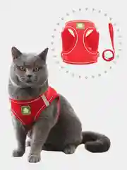 Красный шлейка-жилет и поводок для кошек и собак