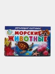 "Морские животные" обучающие карточки на картоне с познавательным текстом