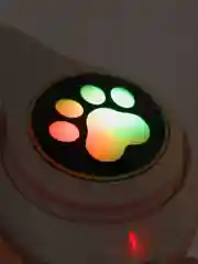 Розовый беспроводные наушники Cat Ear Bluetooth, c кошачьими светящимися ушками