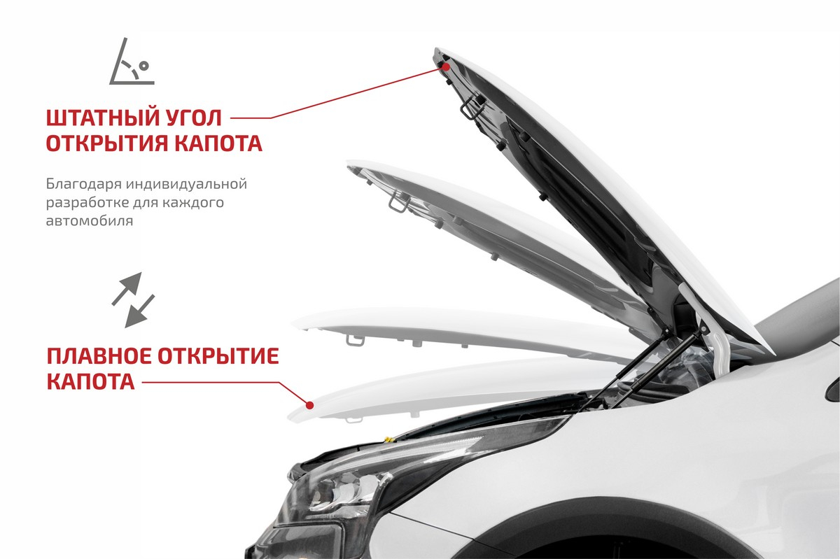 Газовые упоры капота АвтоУпор для Lada Granta I рестайлинг 2018-н.в., 2  шт., ULAGRA021 купить по цене 2530 ₽ в интернет-магазине KazanExpress