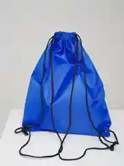 Синий мешок для обуви