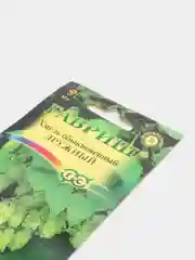 Семена "Хмель Дружный"