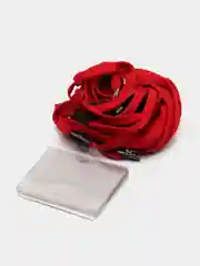 Бейджи горизонтальные DURABLE, на красной ленте 44 см, 60 х 90 мм, комплект 10 штук