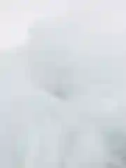 Холлофайбер