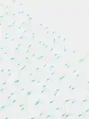 Сетка от птиц для защиты урожая