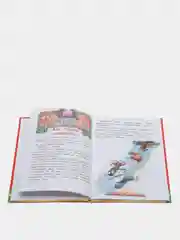 Книга для детей "Как мужик гусей делил. Сказки и рассказы"