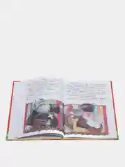 Книга для детей "Как мужик гусей делил. Сказки и рассказы"