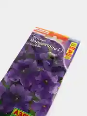 Петуния Марко Поло голубая (семена, цветы)