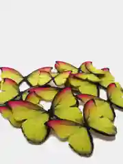 Бабочки декоративные из фетра, для творчества